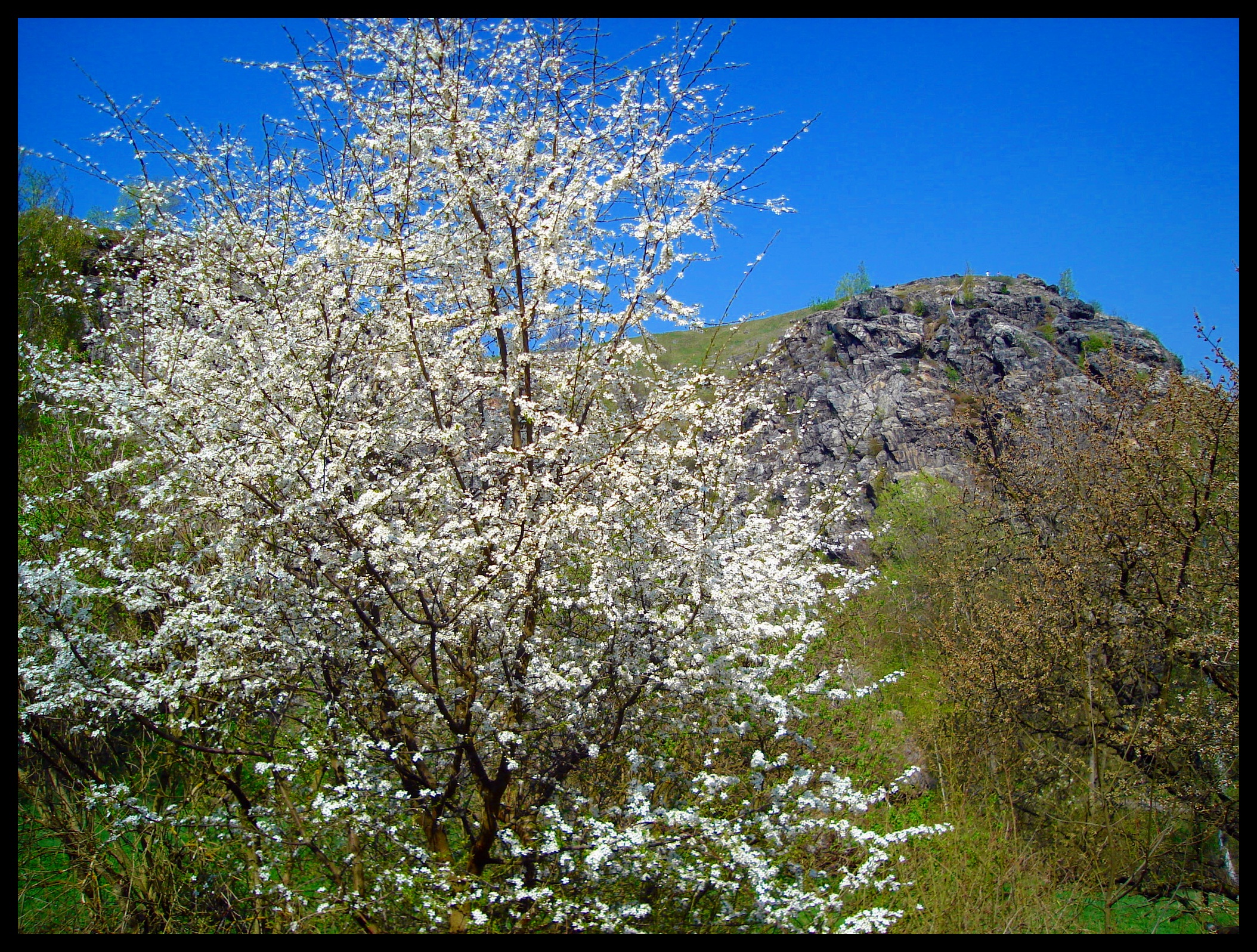 dsc04201