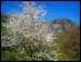 dsc04201