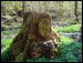 dsc04270