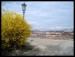 dsc05861